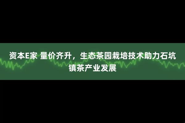 资本E家 量价齐升，生态茶园栽培技术助力石坑镇茶产业发展