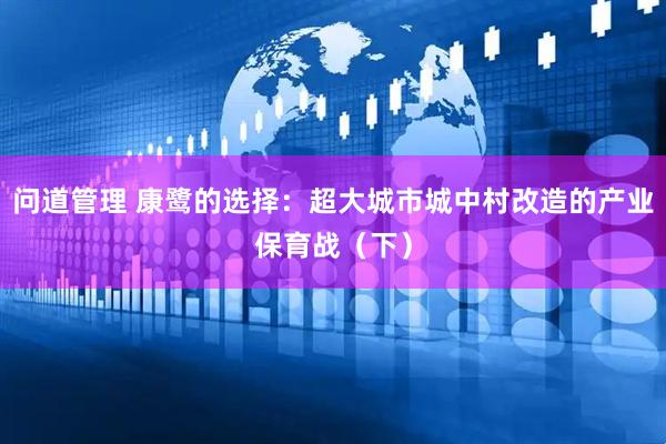 问道管理 康鹭的选择：超大城市城中村改造的产业保育战（下）