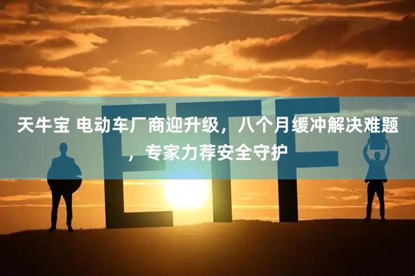天牛宝 电动车厂商迎升级，八个月缓冲解决难题，专家力荐安全守护
